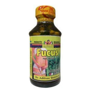 FUCUS